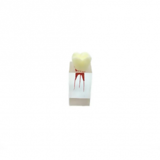 Комплект эндоблоков тренировочный Spectra M805 (резец,премоляр,моляр)-2